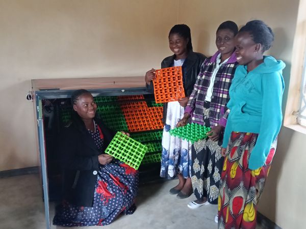 incubator ladies